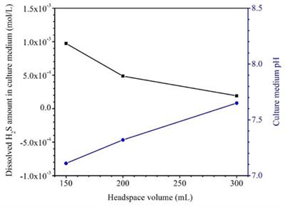 Mechanical property degradation of X80 pipeline steel due to microbiologically influenced corrosion caused by Desulfovibrio vulgaris